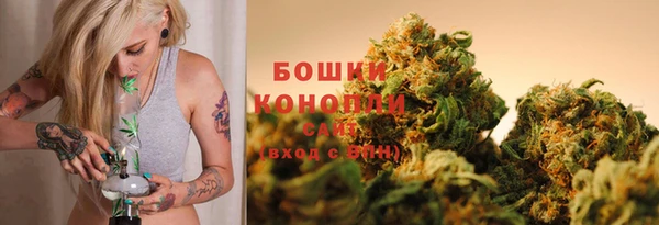 гидра Каменка