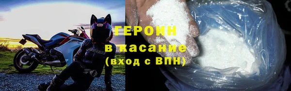 гидра Каменка
