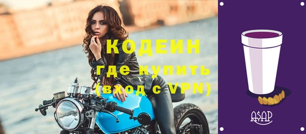 гидра Каменка