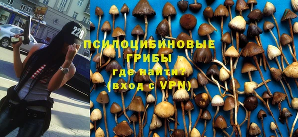 ALPHA PVP Каменногорск