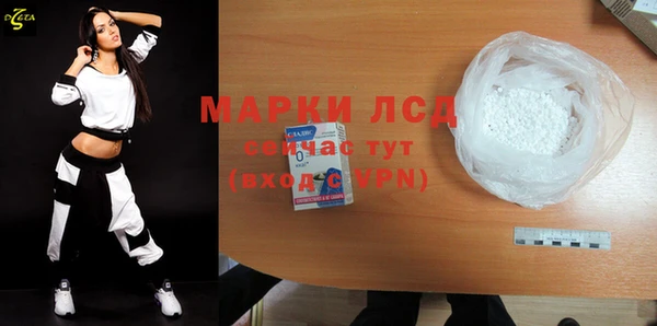 гидра Каменка