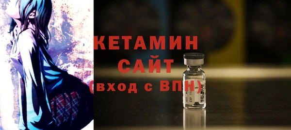гидра Каменка