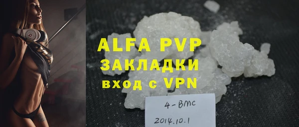 гидра Каменка