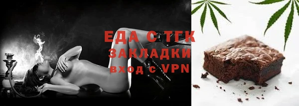 гидра Каменка