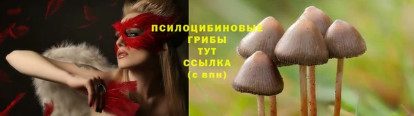 гидра Каменка