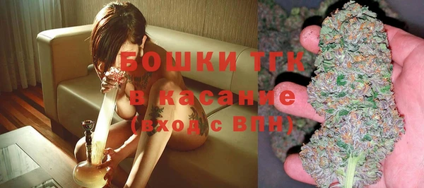 гидра Каменка