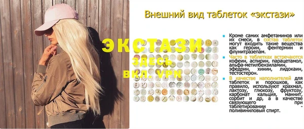 гидра Каменка
