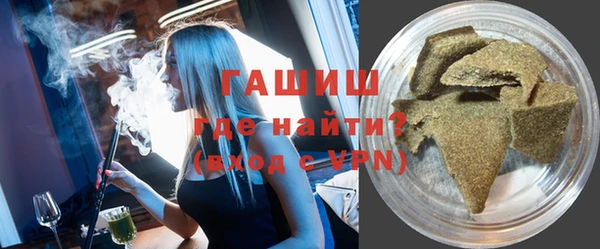 гидра Каменка