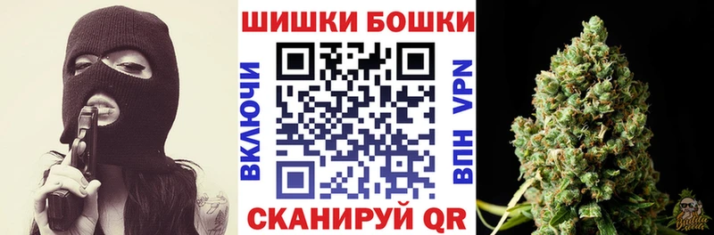 Бошки Шишки план  Купить  Сунжа 